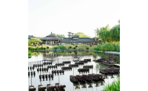 常德拓展基地-常德白马公园拓展训练基地